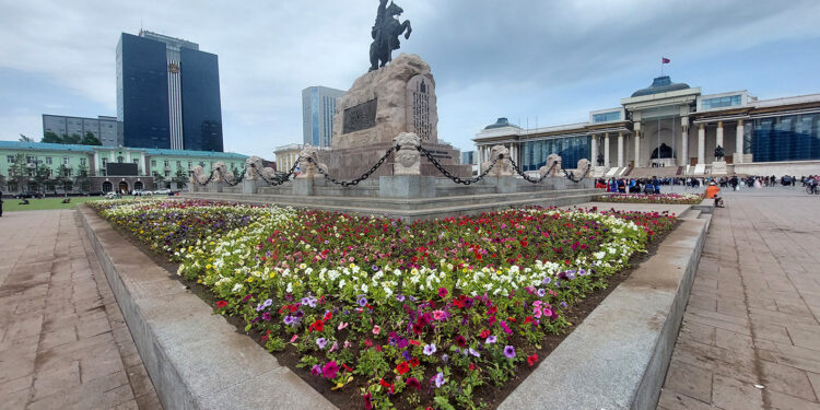 Нийслэлийн таван дүүргийн 20 байршилд 15 нэр зүйлийн 321 мянган цэцэг суулгана