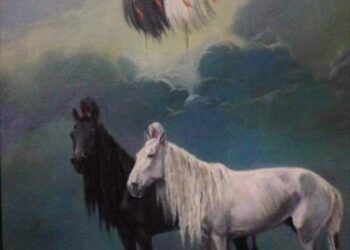 ХАРАА ИХТ ХАР СҮЛД ШҮТЭЭН