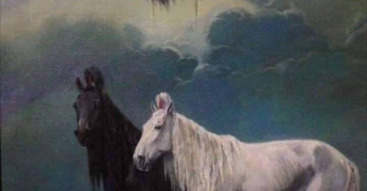 ХАРАА ИХТ ХАР СҮЛД ШҮТЭЭН