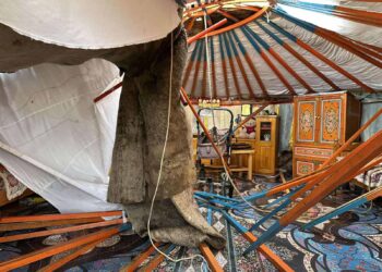 116 АЙЛЫН ГЭР НУРЖ, ХАШАА, БАЙШИНГИЙН ДЭЭВЭР ХУУЛАРСАН ЗЭРЭГ ДУУДЛАГА, МЭДЭЭЛЭЛ БҮРТГЭГДЛЭЭ