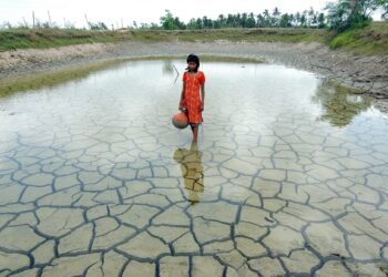 АЗИ ТИВ ДЭЛХИЙН ДУНДЖААС ХОЁР ДАХИН ХУРДТАЙ ДУЛААРЧ БАЙНА